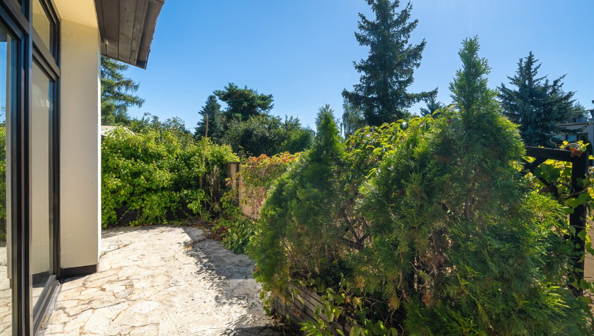 Spacerweb, Michała Płachetka