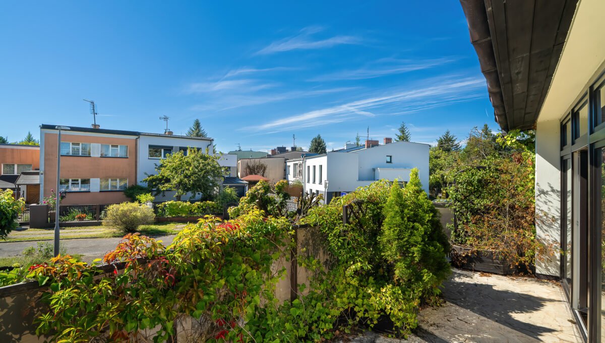 Spacerweb, Michała Płachetka