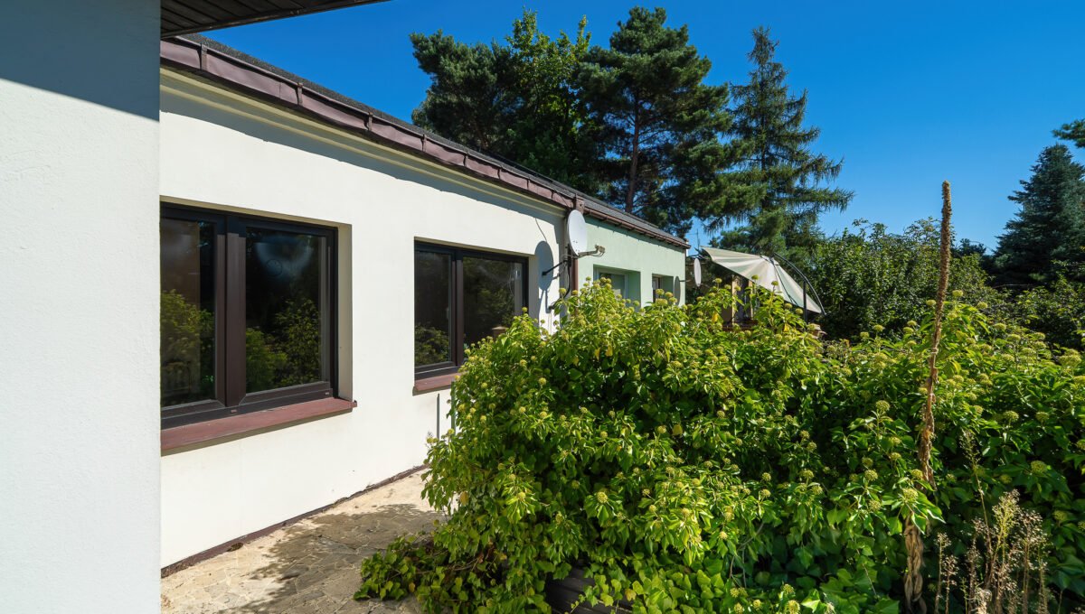 Spacerweb, Michała Płachetka