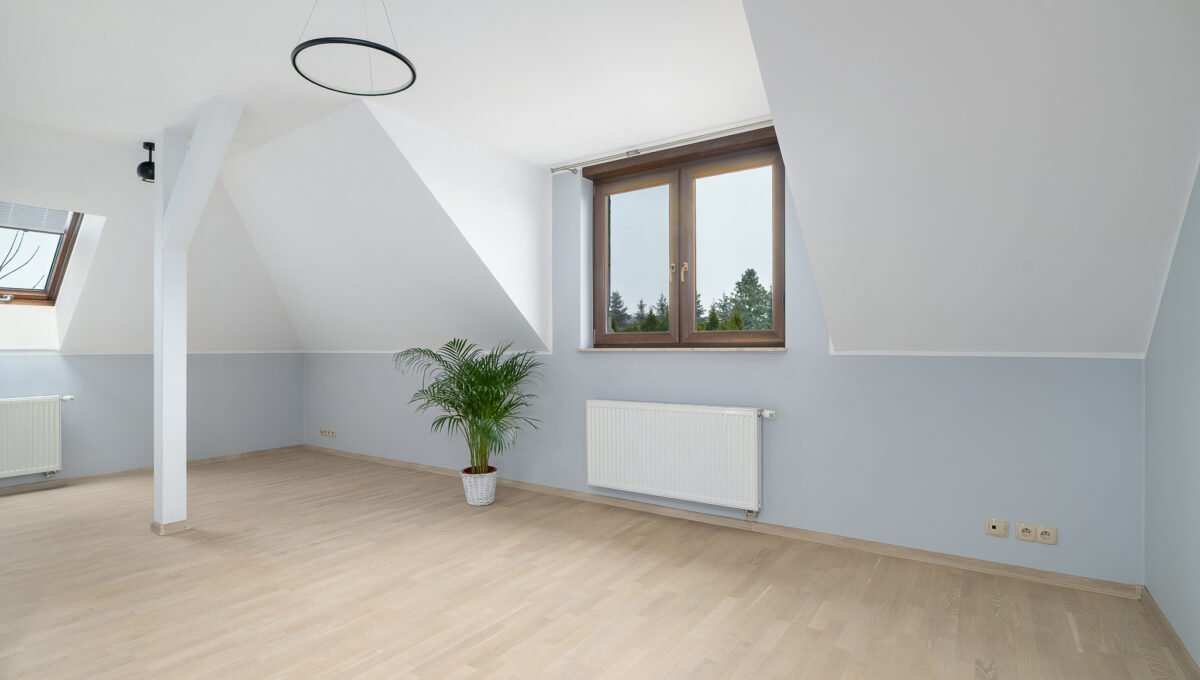 Spacerweb, Michała Płachetka