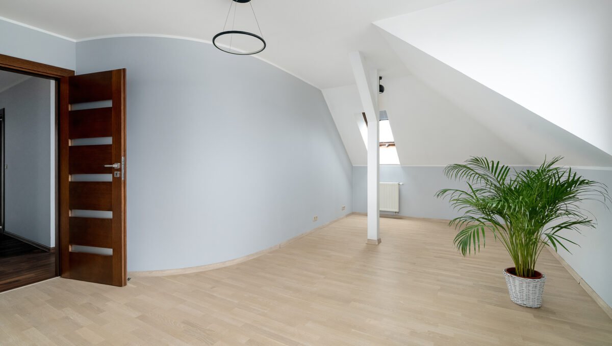 Spacerweb, Michała Płachetka