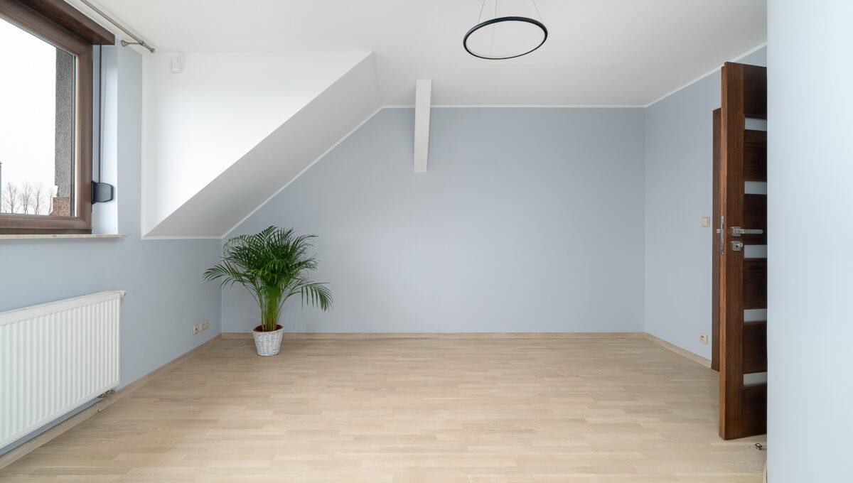 Spacerweb, Michała Płachetka