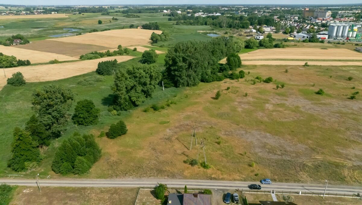 01-Szamotuąy - Zygmunta Starego