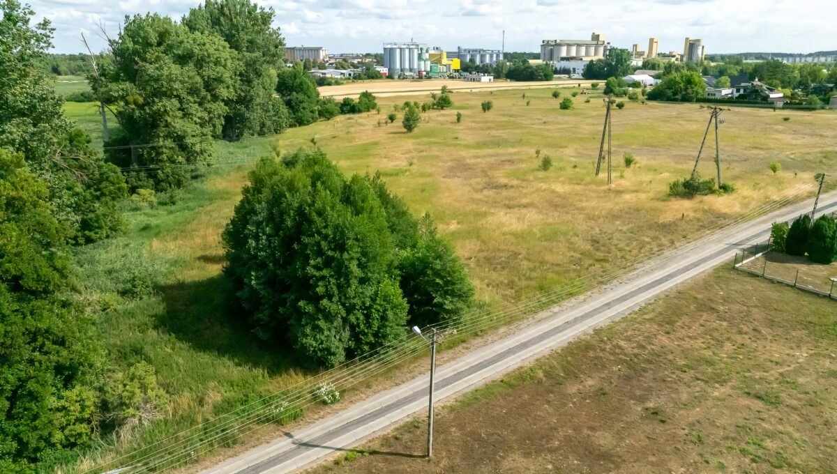 11-Szamotuąy - Zygmunta Starego