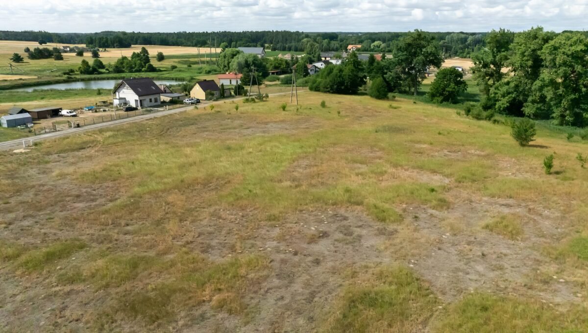 15-Szamotuąy - Zygmunta Starego