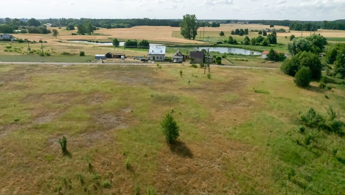 16-Szamotuąy - Zygmunta Starego