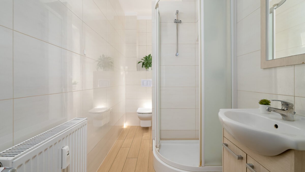 Spacerweb, Michała Płachetka