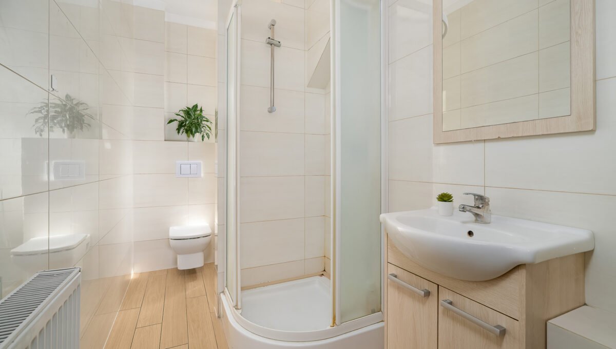 Spacerweb, Michała Płachetka