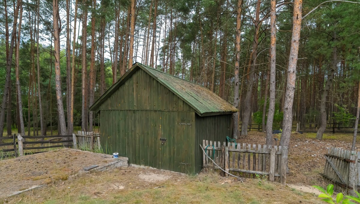 Spacerweb, Michała Płachetka