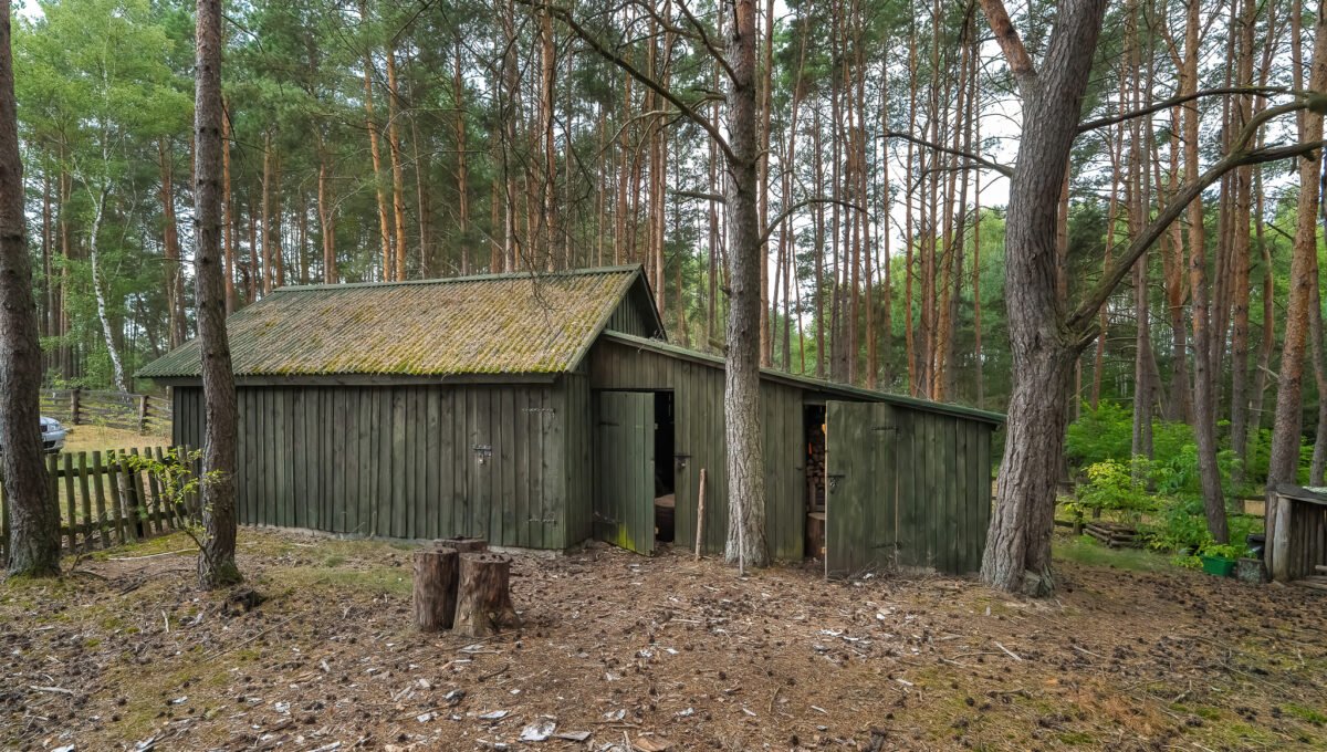 Spacerweb, Michała Płachetka