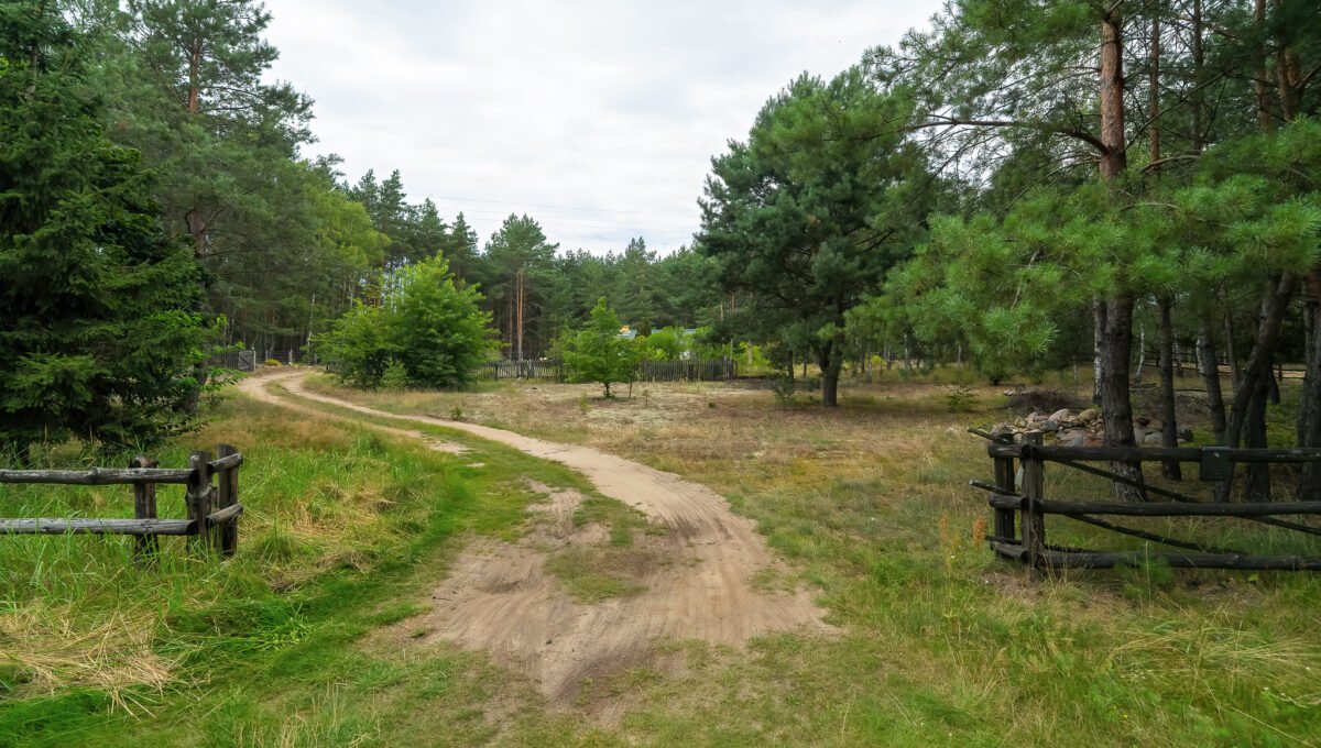 Spacerweb, Michała Płachetka