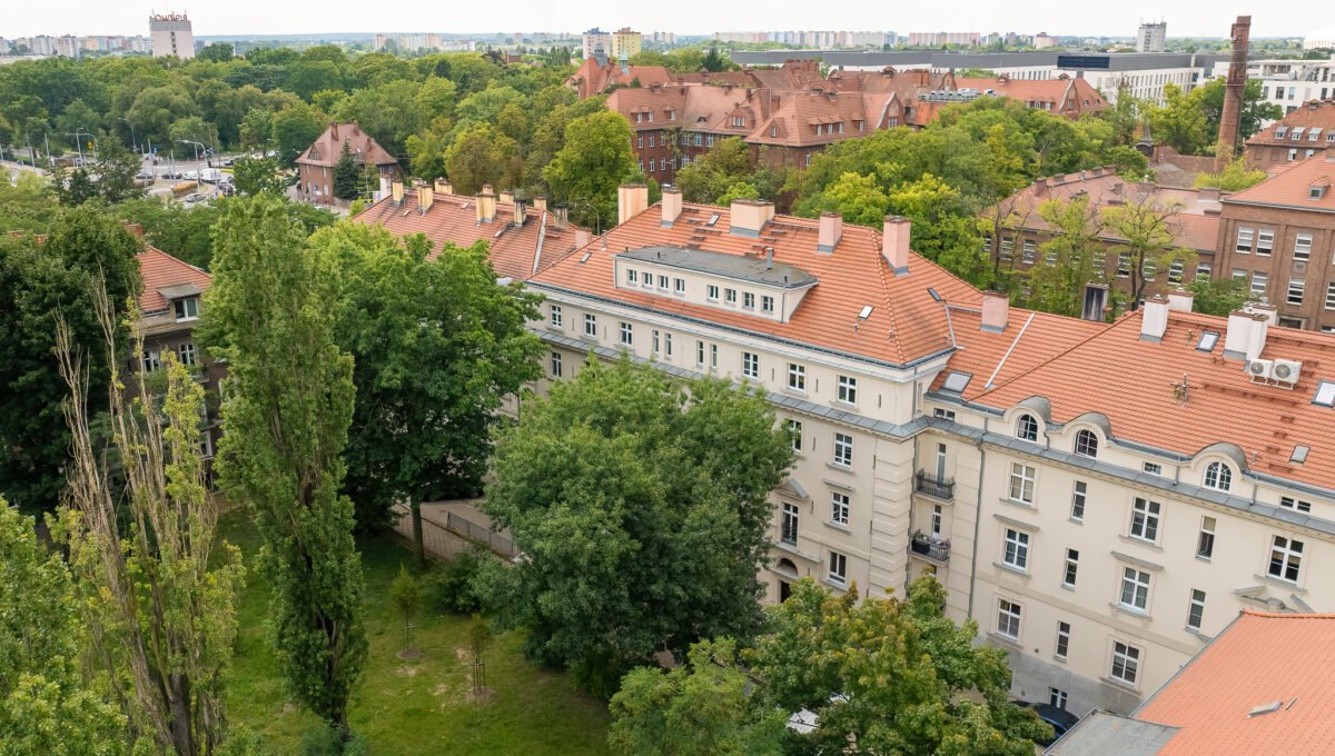 Spacerweb, Michała Płachetka