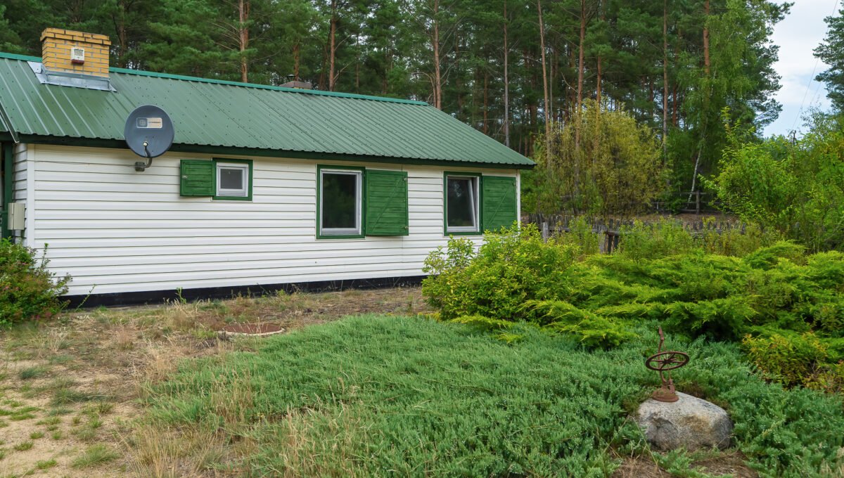 Spacerweb, Michała Płachetka