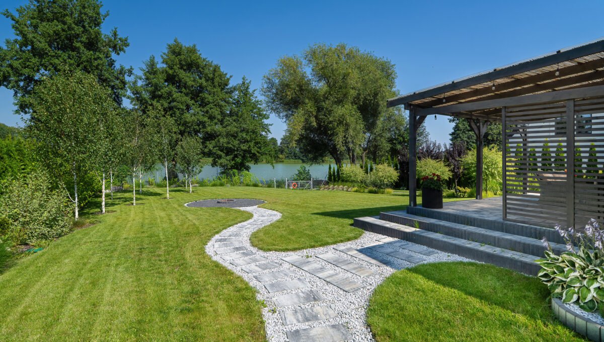 Spacerweb, Michała Płachetka