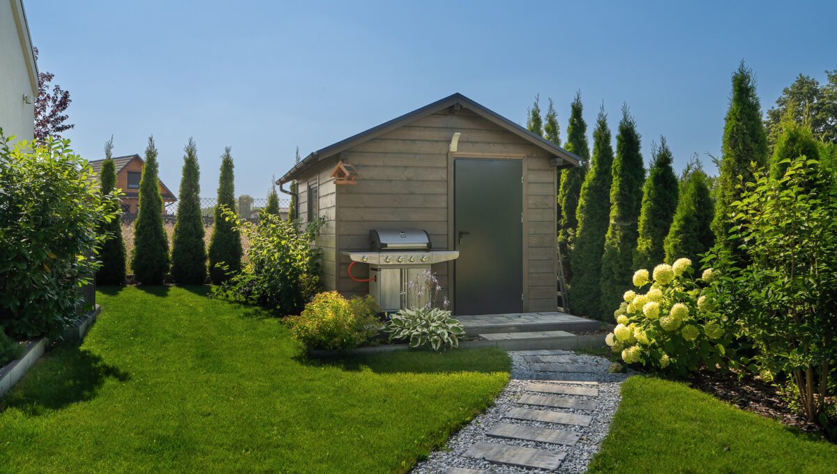 Spacerweb, Michała Płachetka