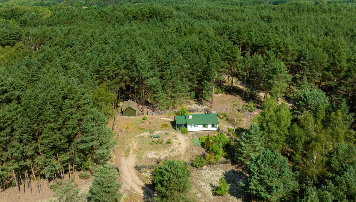 Spacerweb, Michała Płachetka