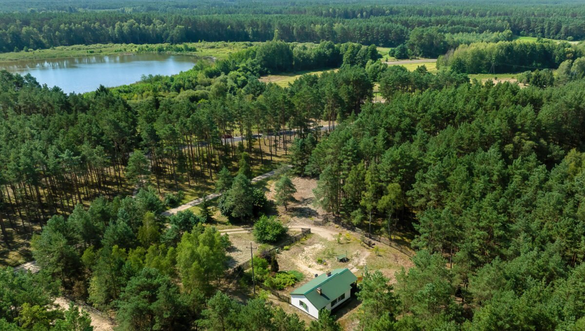 Spacerweb, Michała Płachetka