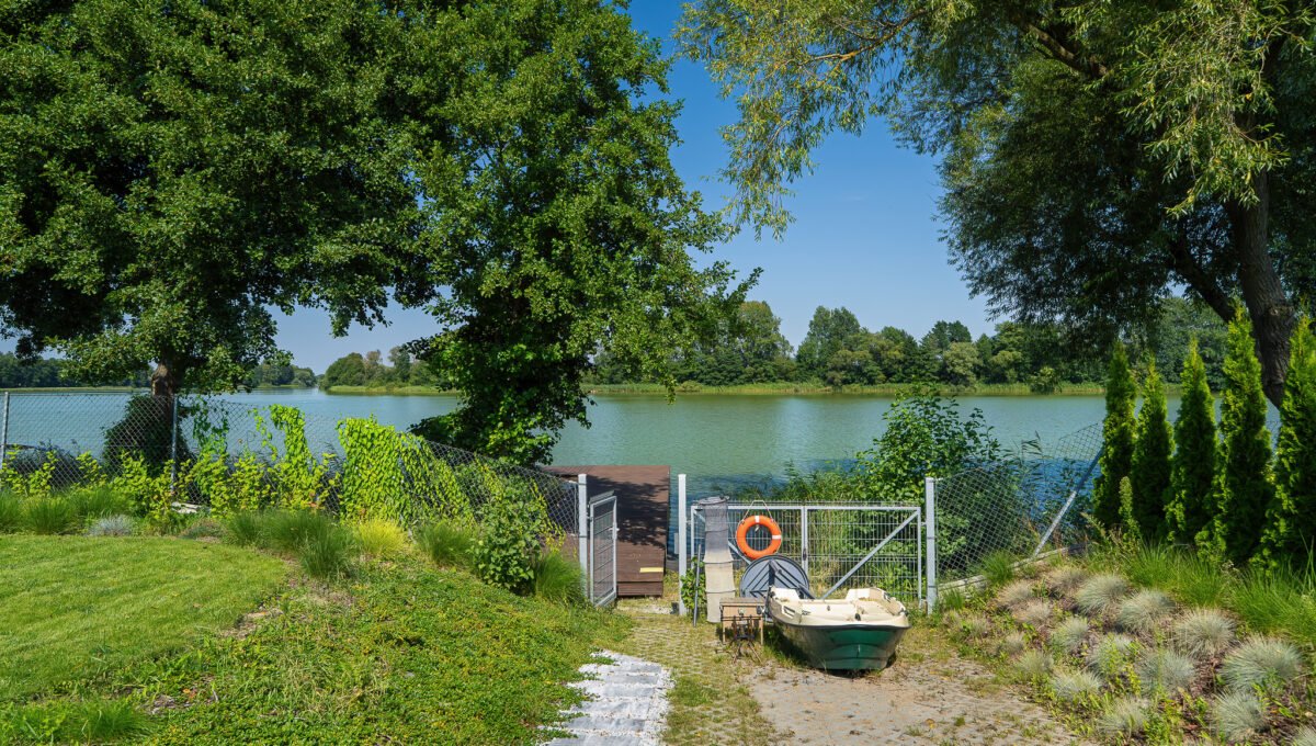 Spacerweb, Michała Płachetka