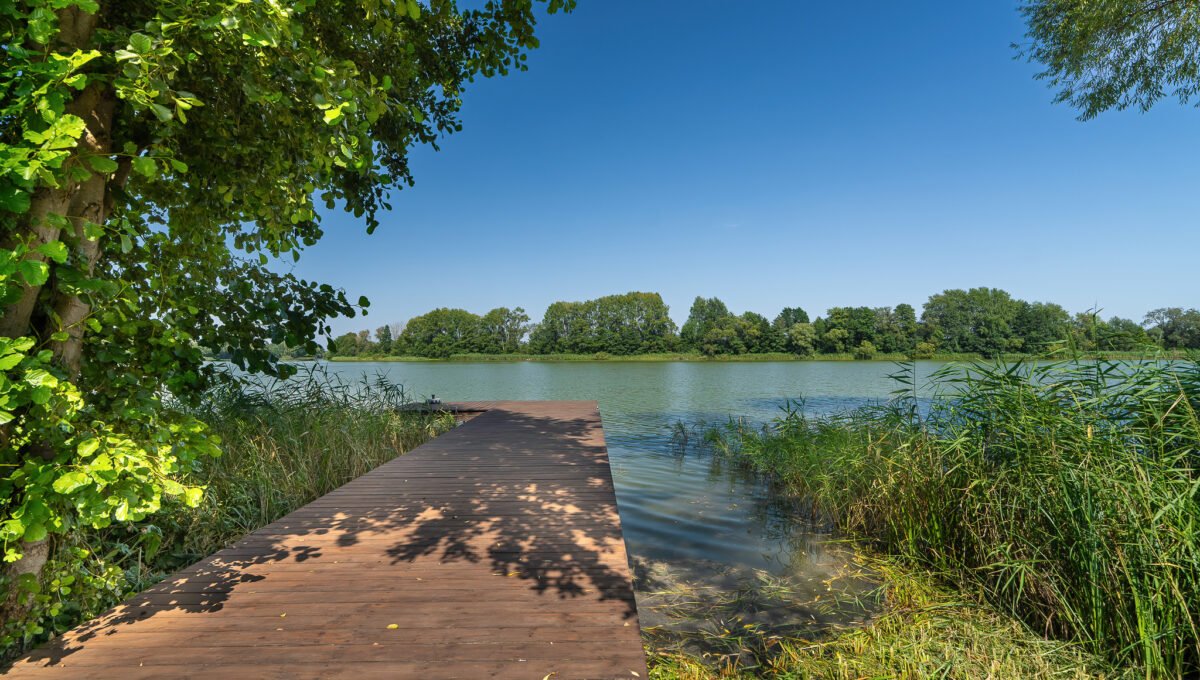 Spacerweb, Michała Płachetka