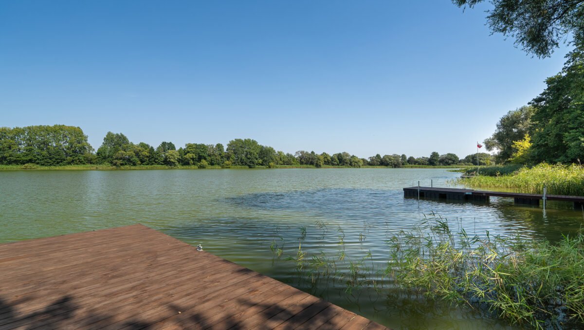 Spacerweb, Michała Płachetka