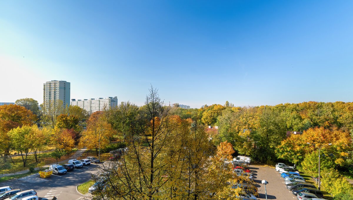 11-Tysiaclecia-13-19