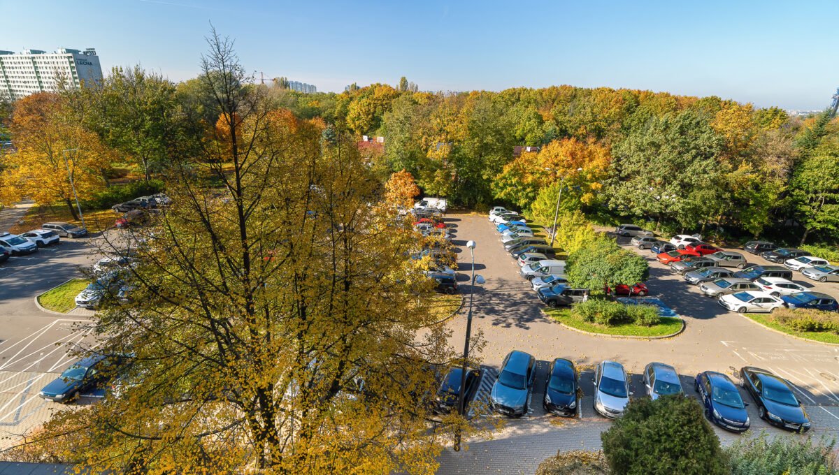 13-Tysiaclecia-13-19