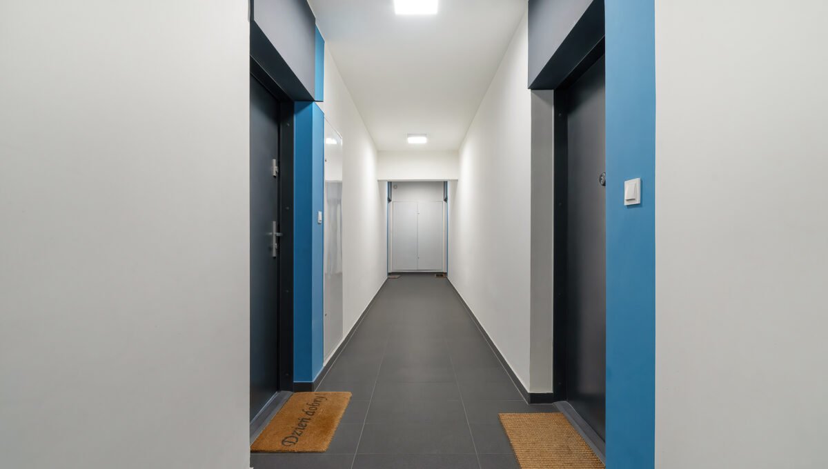 Spacerweb, Michała Płachetka