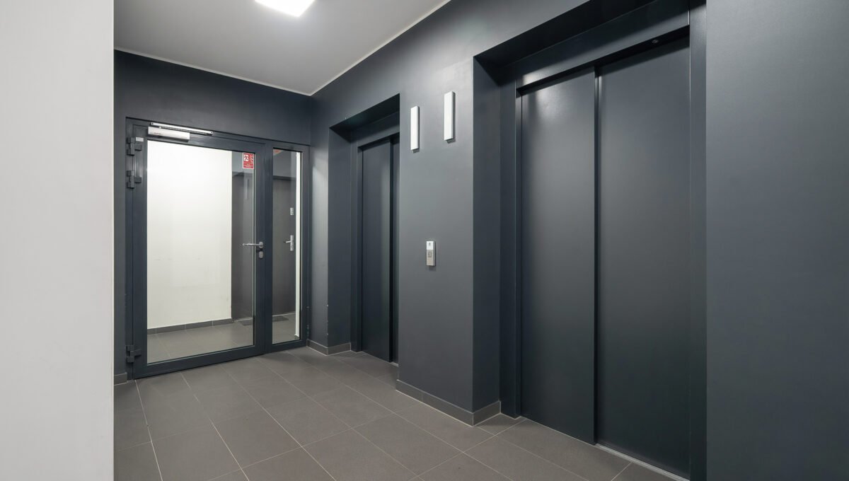 Spacerweb, Michała Płachetka