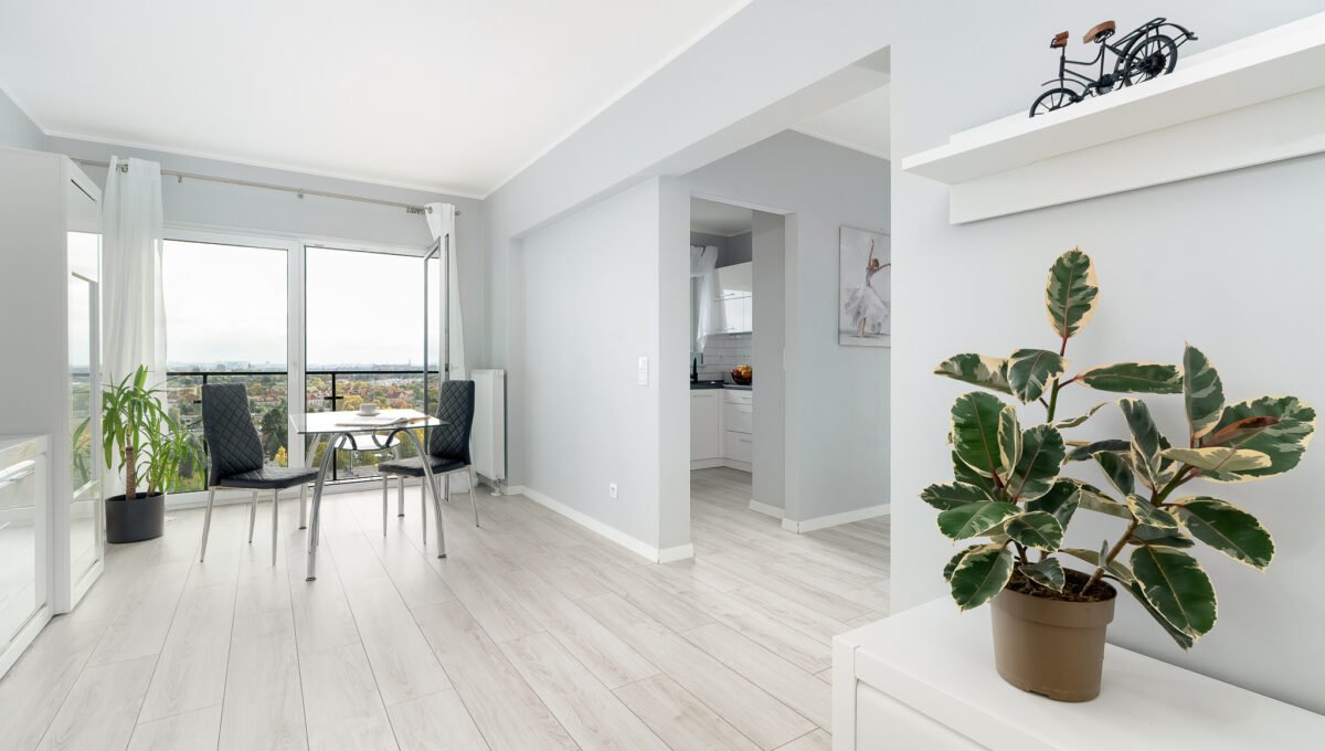 Spacerweb, Michała Płachetka