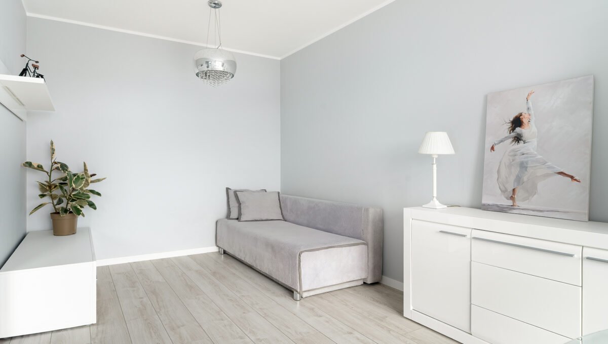 Spacerweb, Michała Płachetka