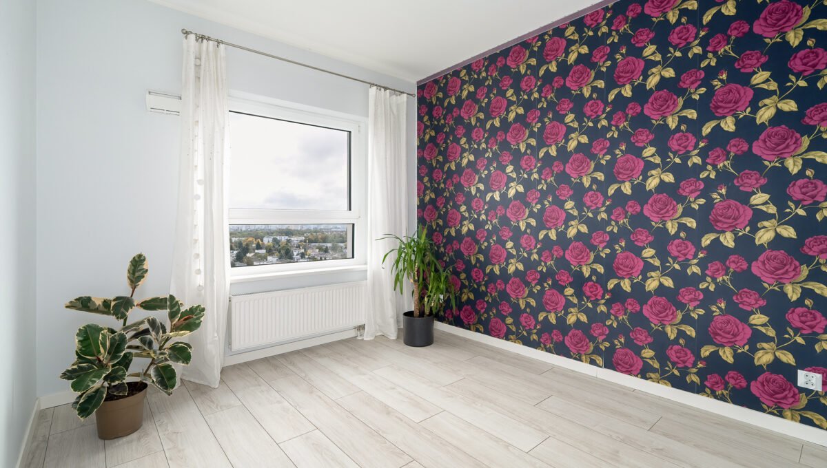 Spacerweb, Michała Płachetka