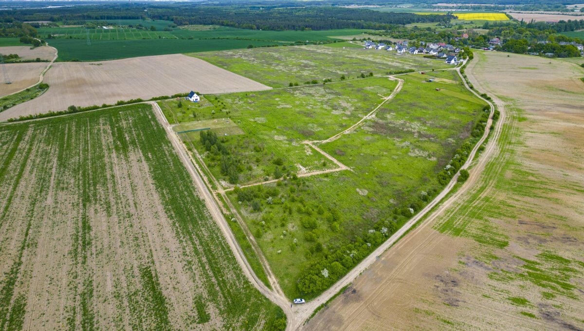 DJI_0274