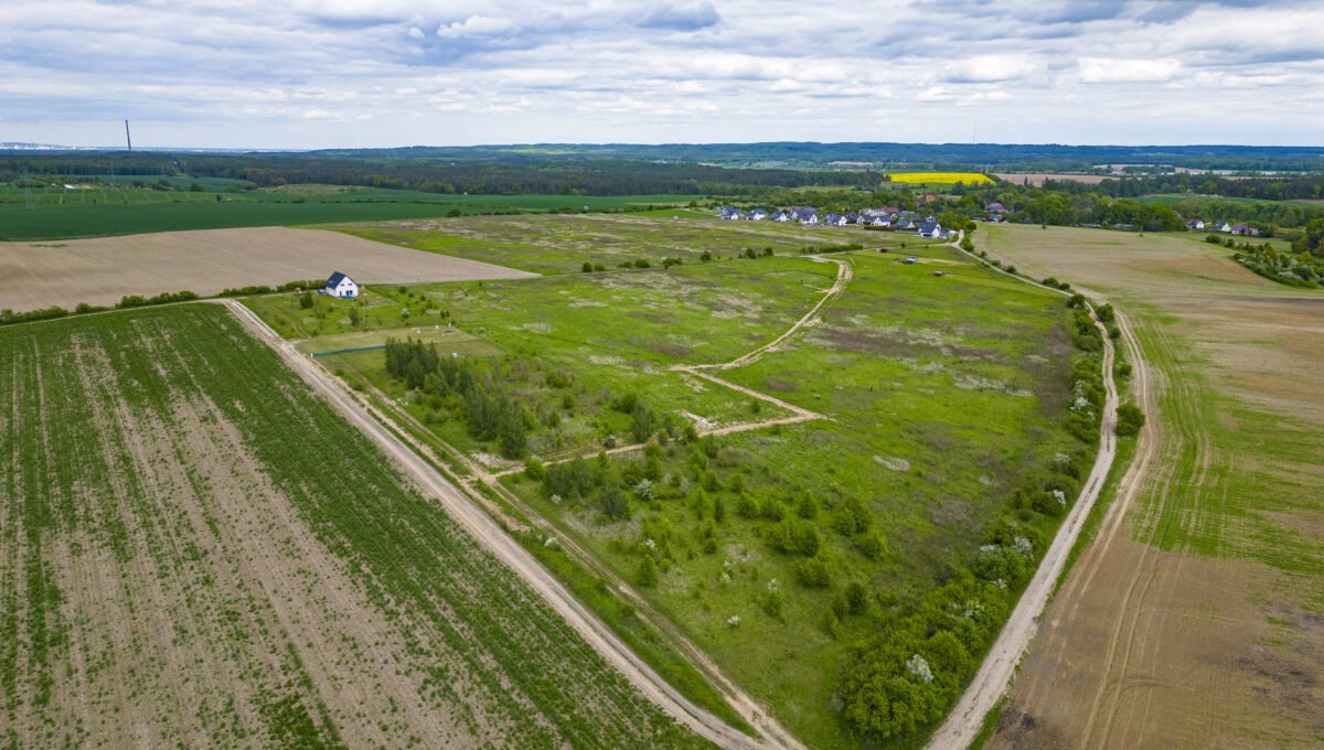 DJI_0292