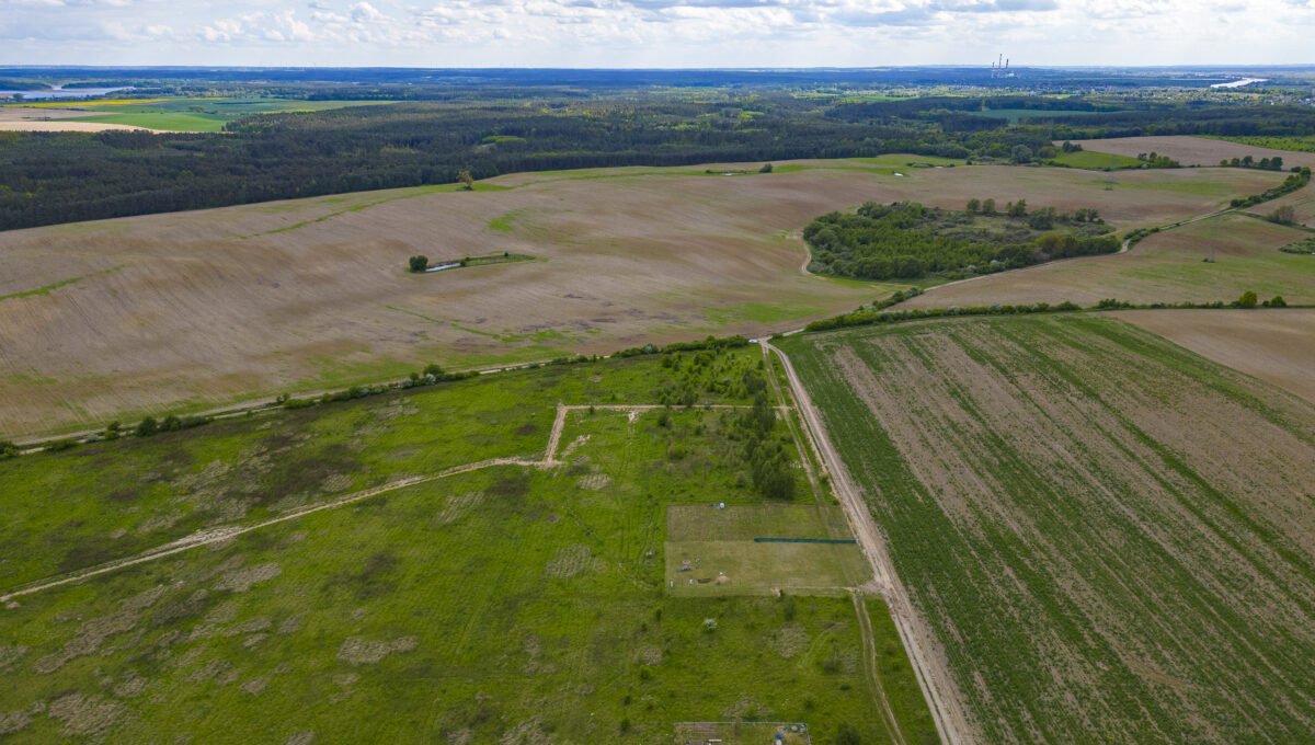 DJI_0295