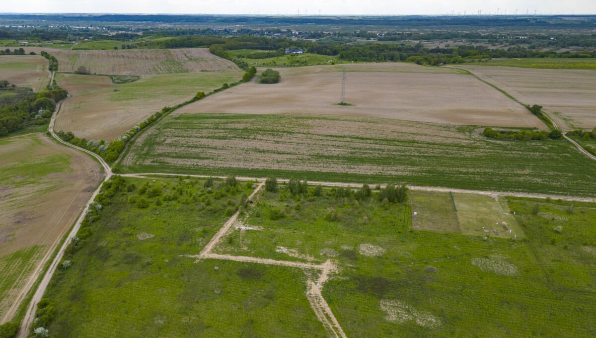 DJI_0303