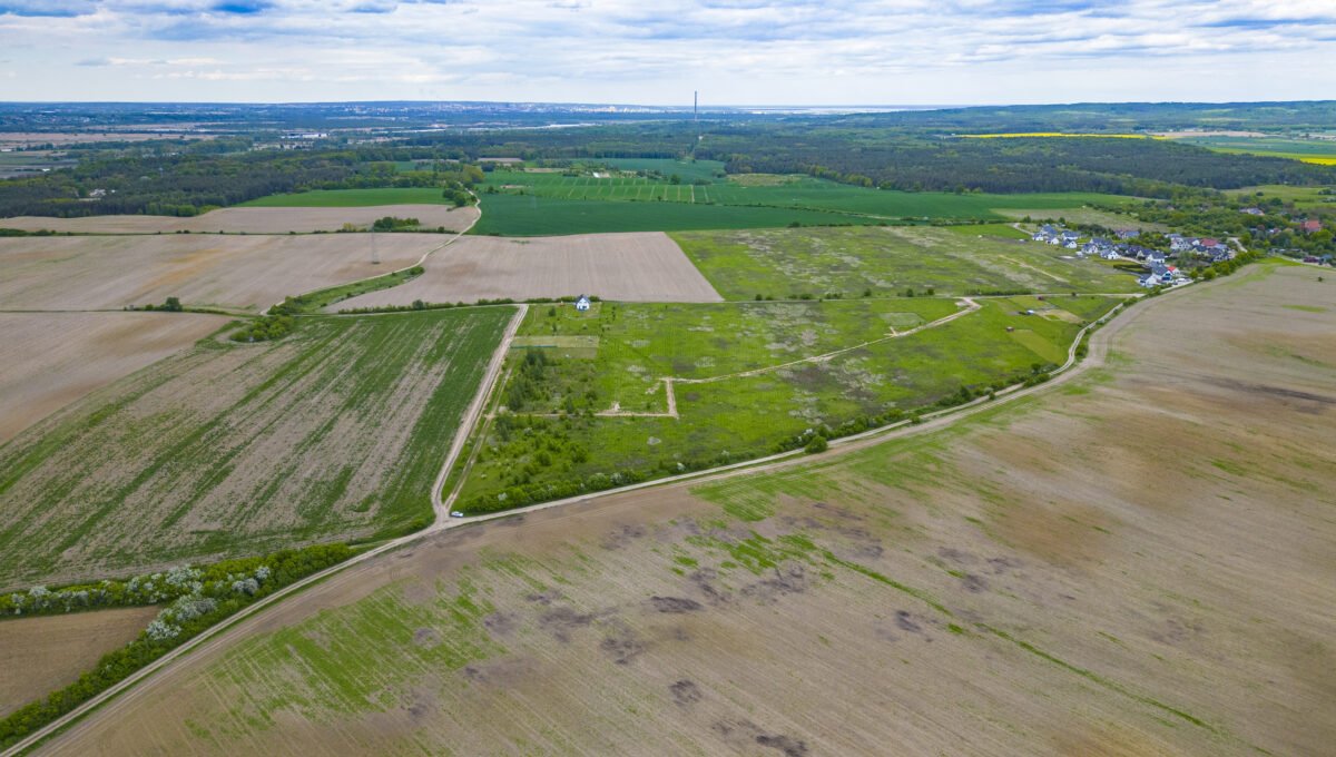 DJI_0310