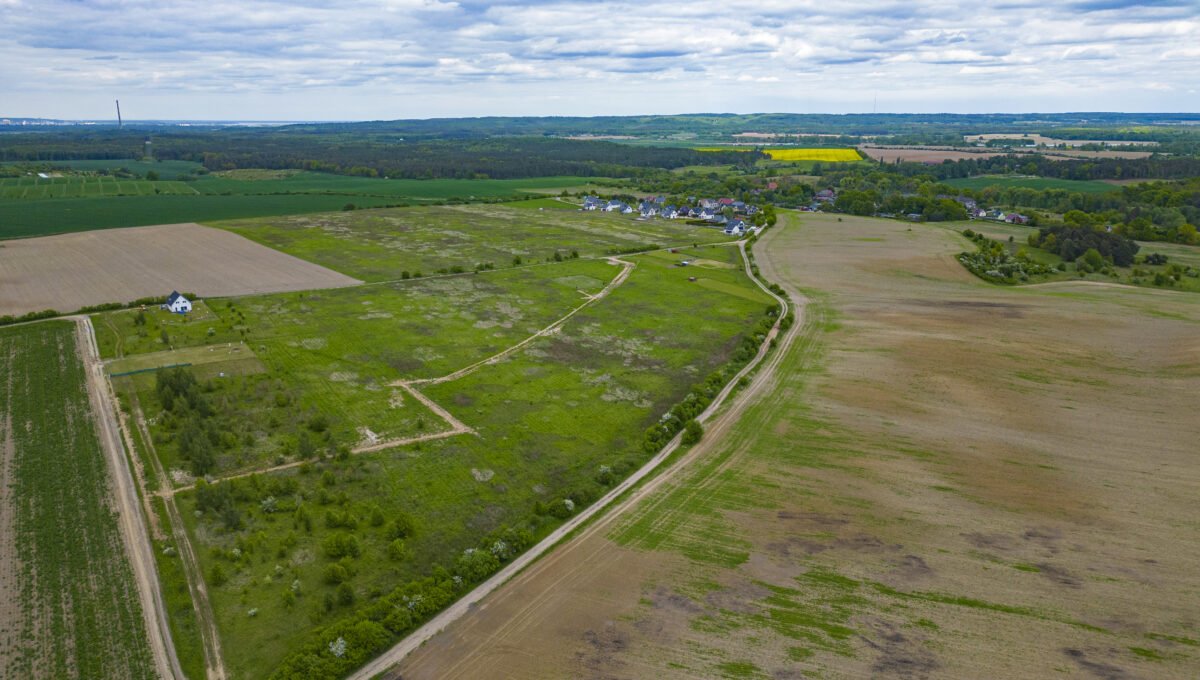DJI_0316