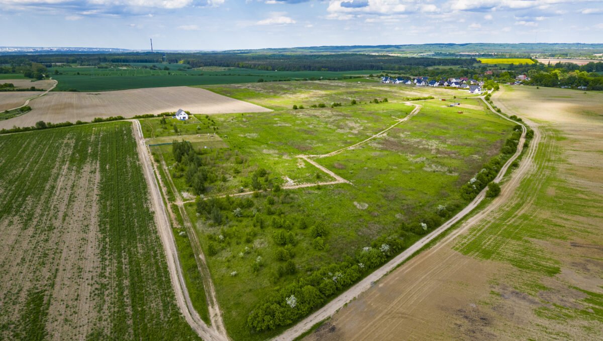 DJI_0334