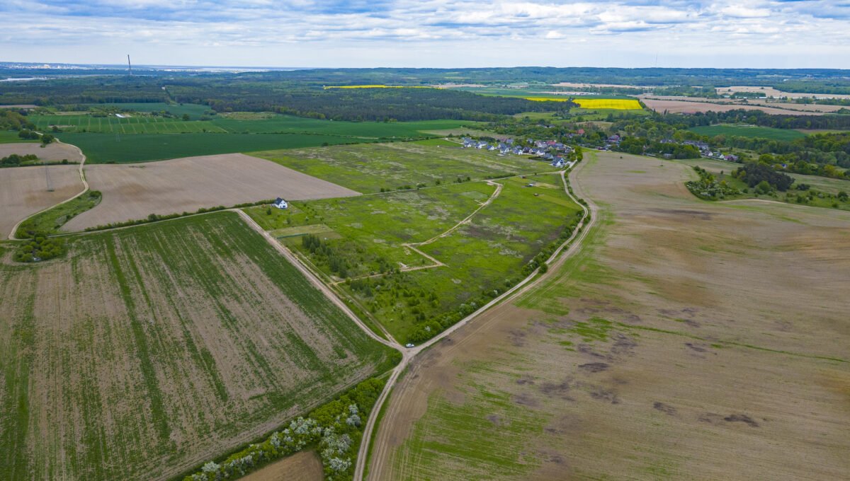DJI_0309