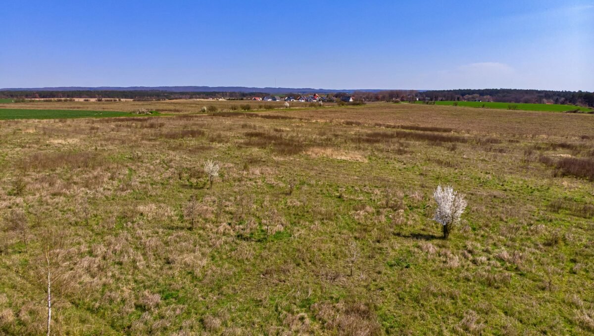 DJI_0686